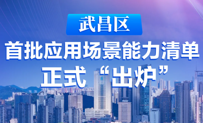 飛燕遙感入選武漢市武昌區(qū)首批應(yīng)用場景能力清單